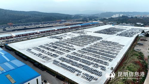 西南最大鐵路商品汽車物流基地建成投用 助力區(qū)域經(jīng)濟發(fā)展